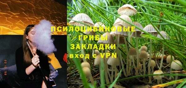 прущая мука Няндома