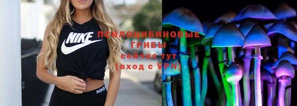 прущая мука Няндома