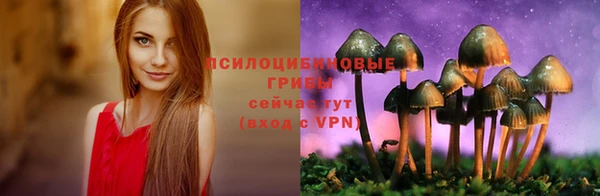 дмт Нягань