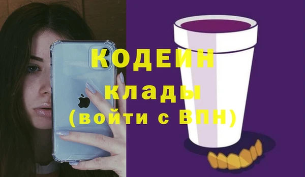 дмт Нягань