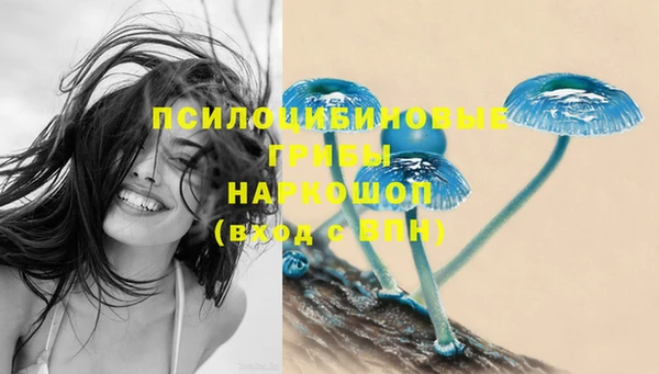 прущая мука Няндома