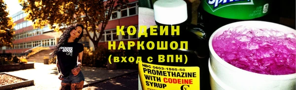 дмт Нягань