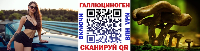 OMG ONION  Клинцы  сайты даркнета формула  Псилоцибиновые грибы Cubensis 