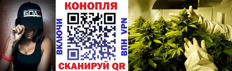 Конопля White Widow  сайты даркнета клад  Клинцы 
